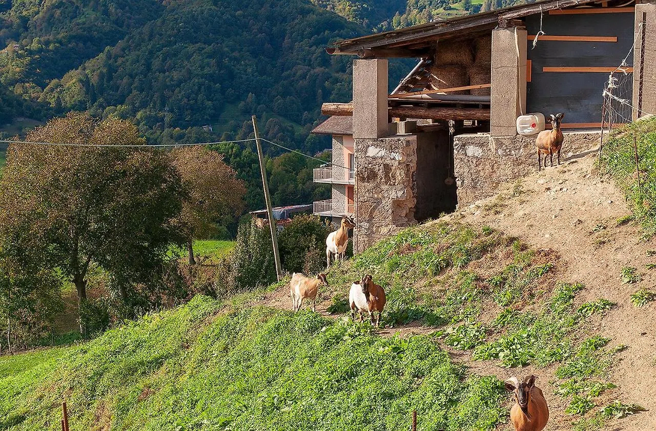 Bed &Breakfast Bellavista Bed & Breakfast San Giovanni Bianco